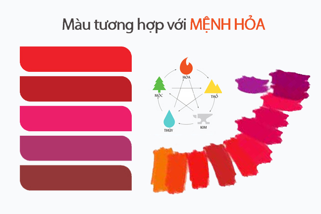 menh hoa hop mau gi