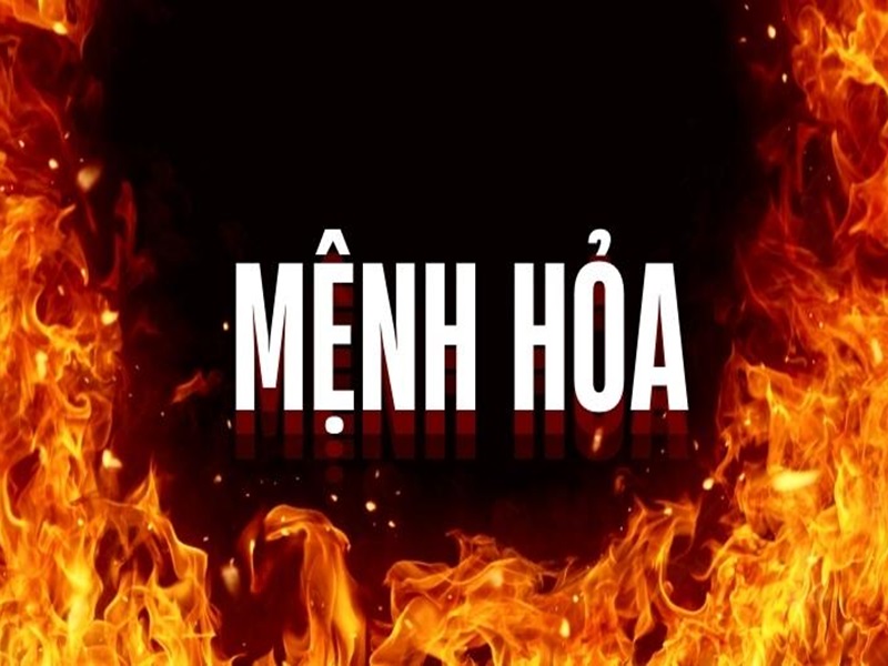 menh hoa hop mau gi