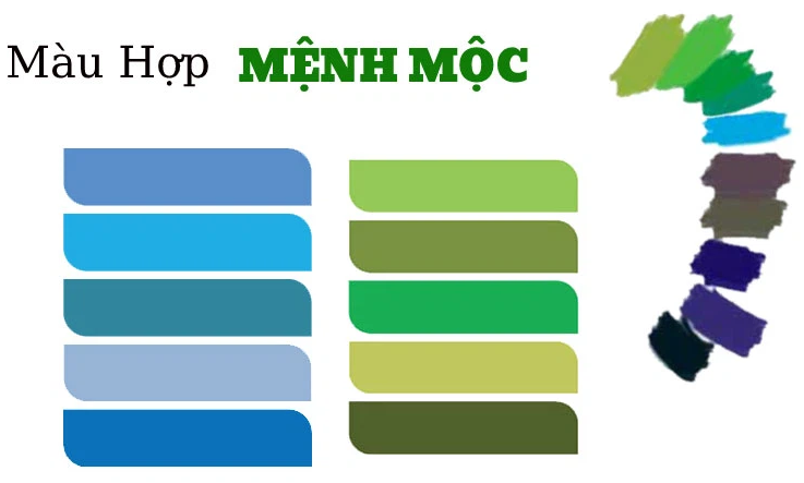 menh moc hop mau gi