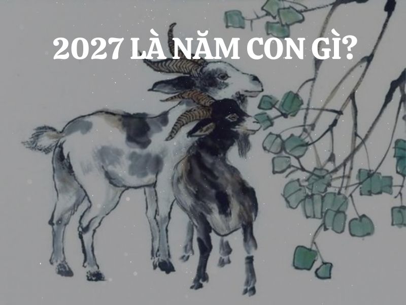 Năm 2027 là năm con gì ? Mệnh gì? Tuổi nào nên sinh con năm 2027?