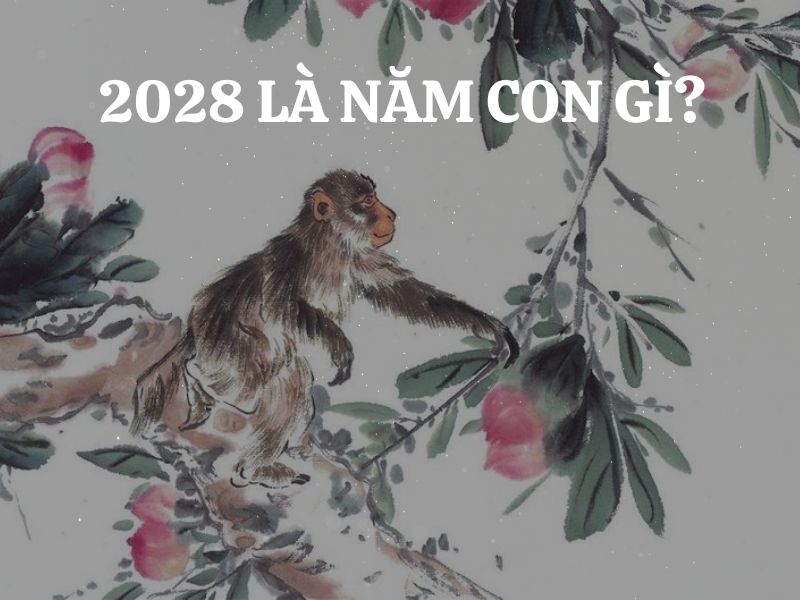 Năm 2028 là năm con gì, mệnh gì? Hợp màu nào, kỵ màu nào? Tìm hiểu tính cách của người sinh năm Mậu Thân 2028