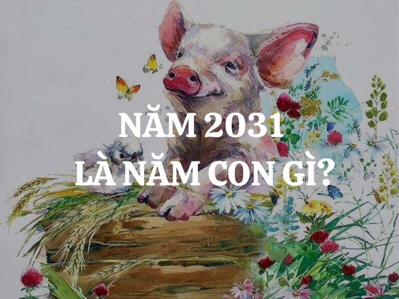 Năm 2031 là năm con gì, tuổi gì, hợp mệnh nào khắc mệnh nào? Tử vi trọn đời của nam nữ sinh năm 2031