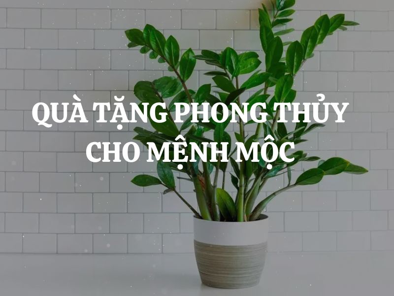 Quà tặng phong thủy cho người mệnh Mộc giúp tụ khí chiêu tài