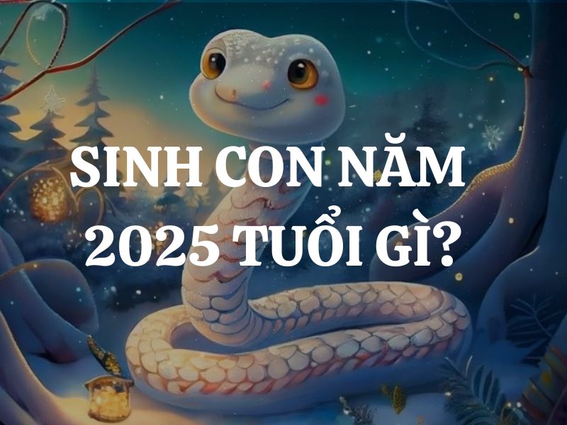 Sinh con năm 2025 thuộc mệnh gì, tuổi con gì? Hợp mệnh nào, khắc mệnh nào? Số mệnh sướng hay khổ?