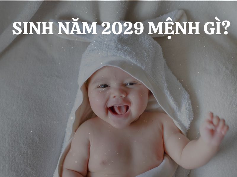 Sinh năm 2029 mệnh gì? Tuổi con gì? Hợp tuổi nào, khắc tuổi nào và vận mệnh ra sao?