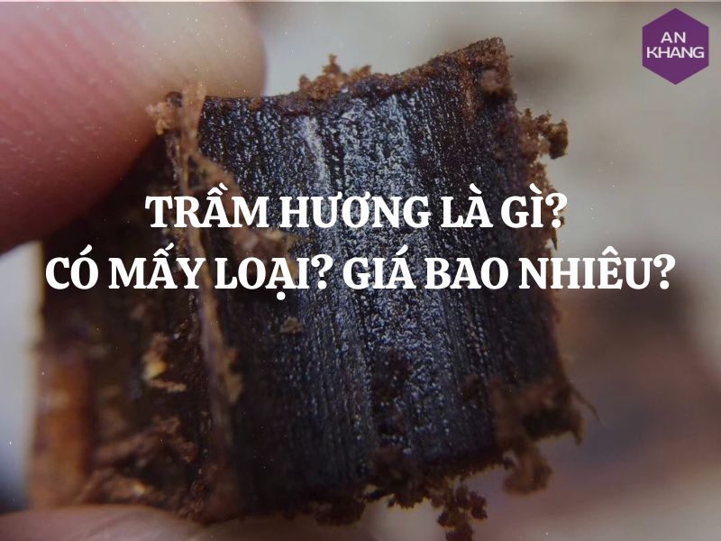 Trầm hương là gì, có mấy loại trầm hương? Trầm hương bao nhiêu tiền 1kg?