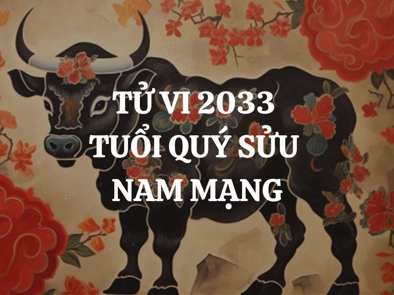 Tử vi 2033 tuổi Quý Sửu nam mạng - Vận mệnh, tình duyên, sự nghiệp