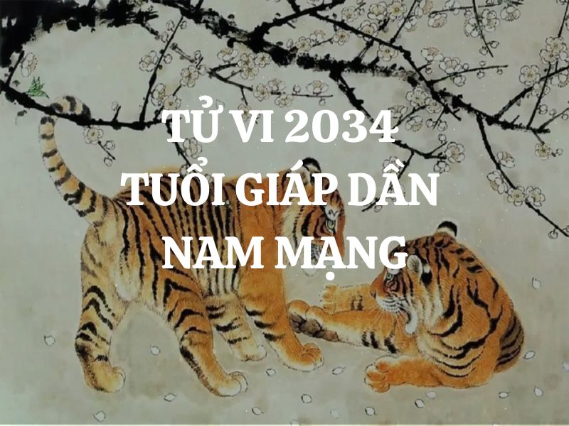 Tử vi 2034 tuổi Giáp Dần nam mạng - Vận mệnh, tình duyên, sự nghiệp