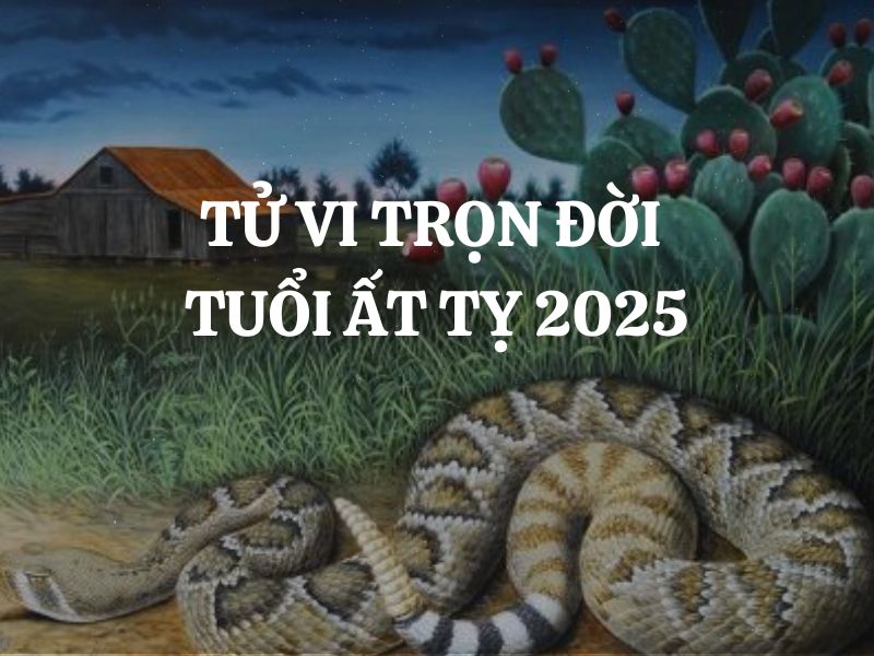 Tử vi trọn đời tuổi Ất Tỵ 2025 nam mạng - nữ mạng: Vận mệnh, tình duyên, sự nghiệp