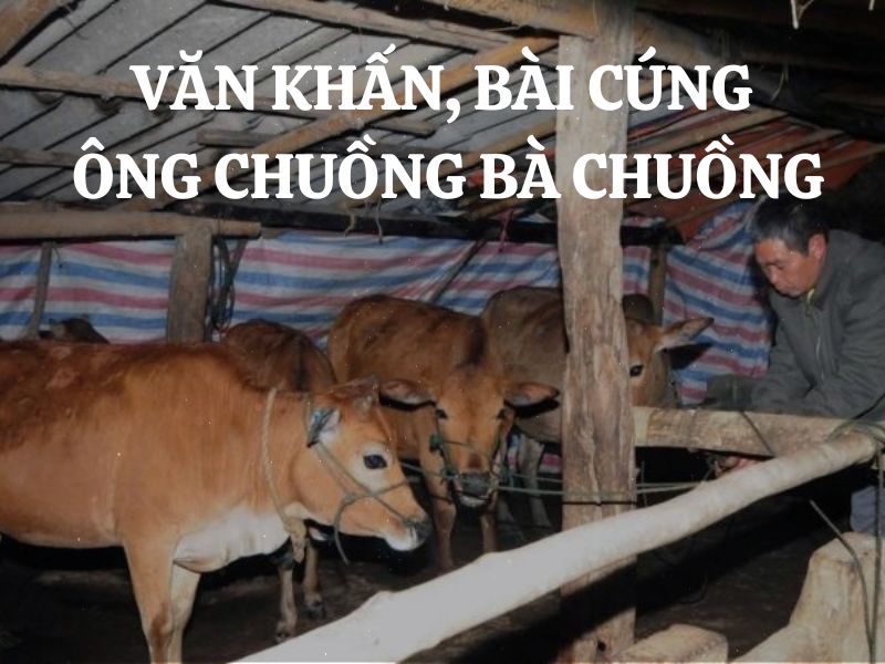 Văn khấn, bài cúng Ông Chuồng Bà Chuồng chuẩn nhất cho nghề Nông